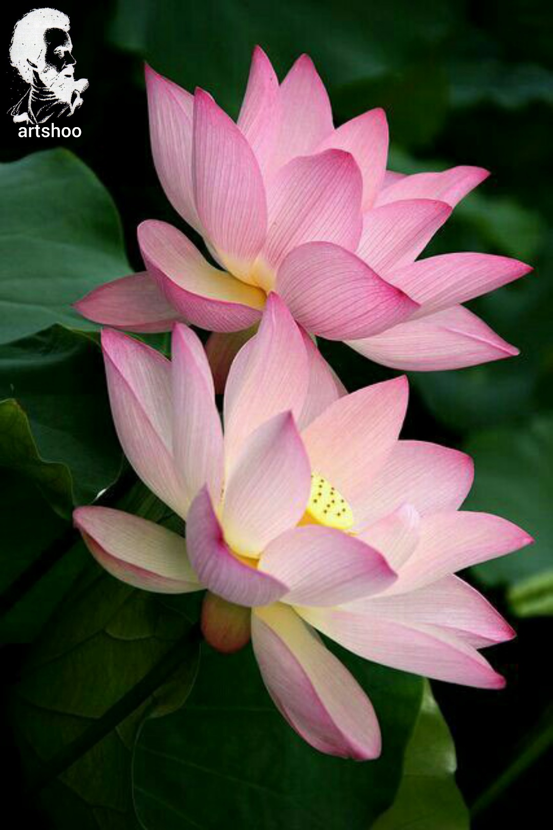 آموزش نقاشی رنگ روغن